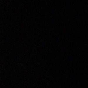 Meet your Posher, Madeleine